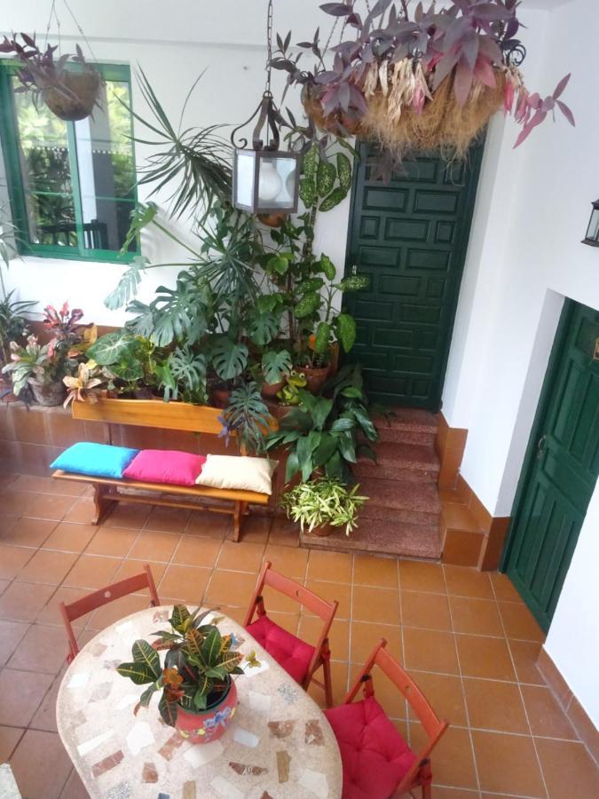 サンタクルスデテネリフェ Casa La Poyata - Tagananaヴィラ エクステリア 写真